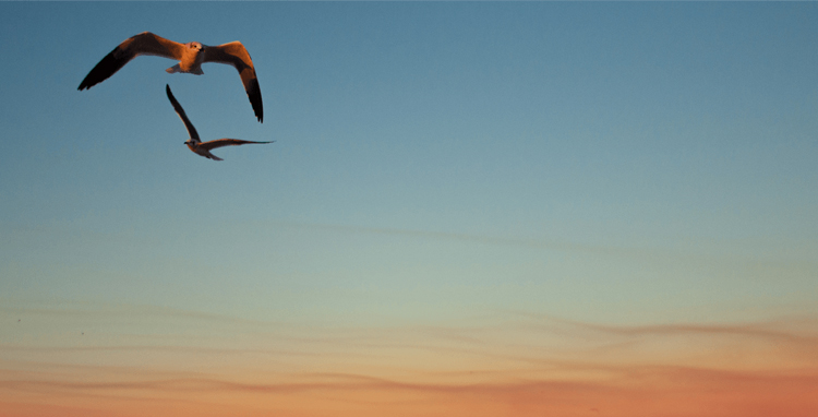 The Benefits of Mindfulness