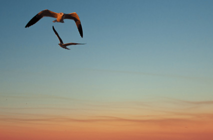 The Benefits of Mindfulness