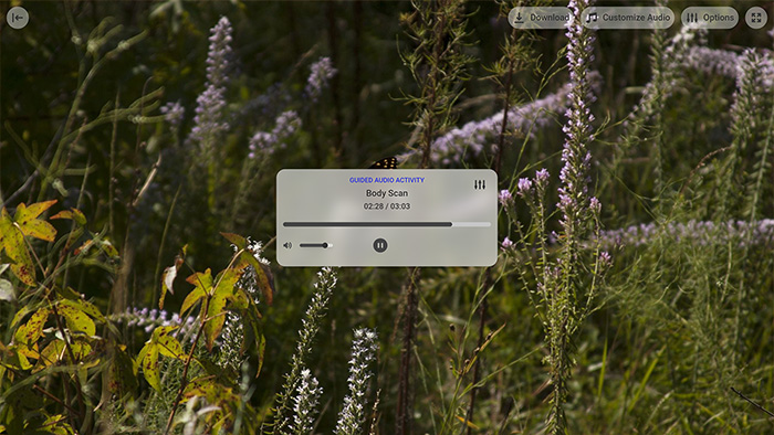 Body Scan Tool Preview 2