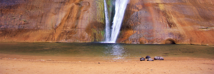 Desert Visualization