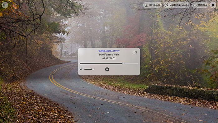 Mindfulness Walk Tool Preview 1