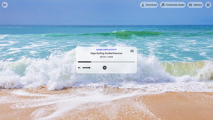 Urge Surfing Guided Exercise Tool Preview 2